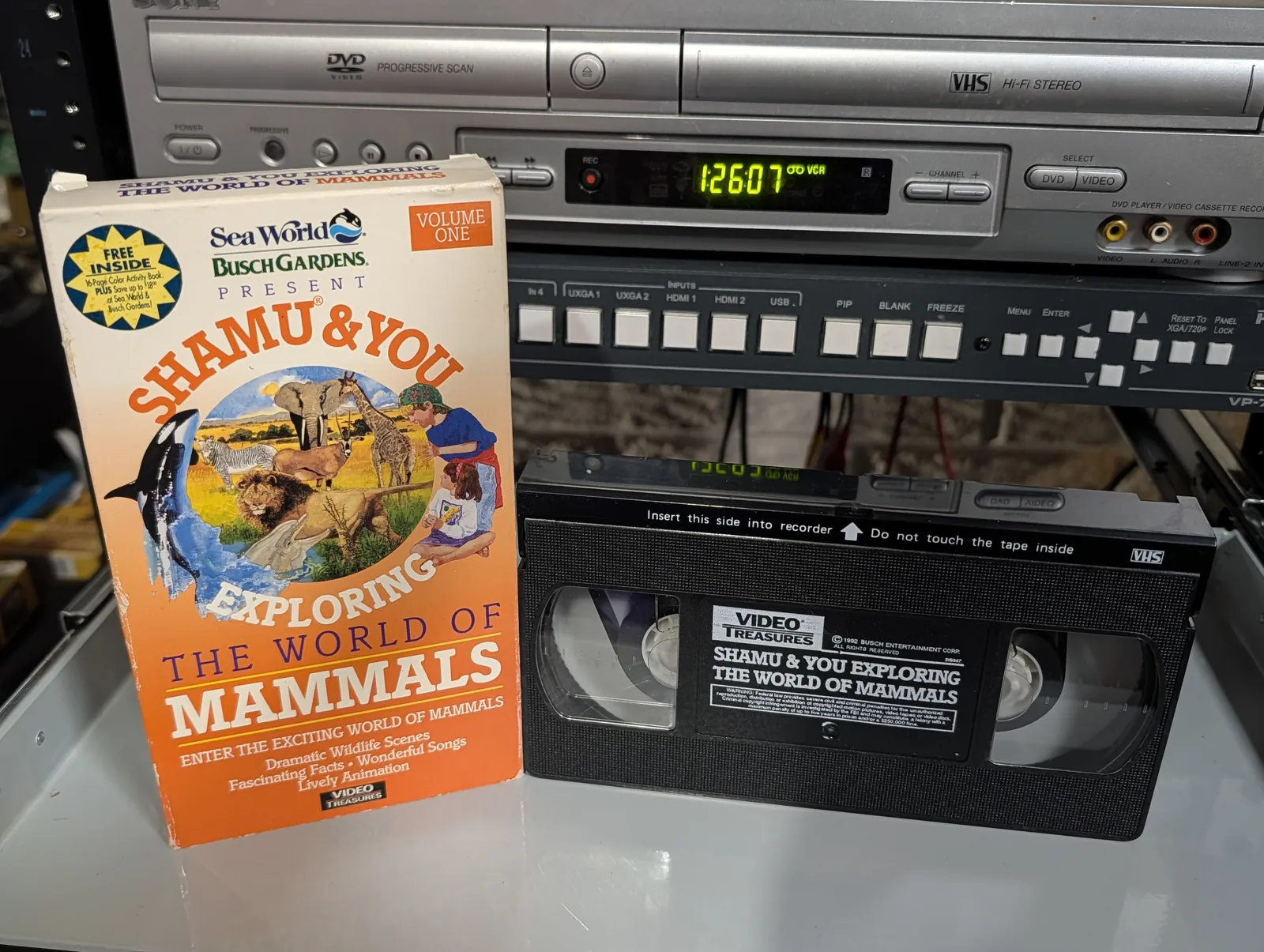VHS-2026-738: Shamu & You: Exploring the World of Mammals, Volume One, physical VHS tape in the 90s Craig archive.