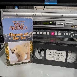 VHS-2026-855: Marty Stouffer's Wild America: Queen of the Ice, physical VHS tape in the 90s Craig archive.