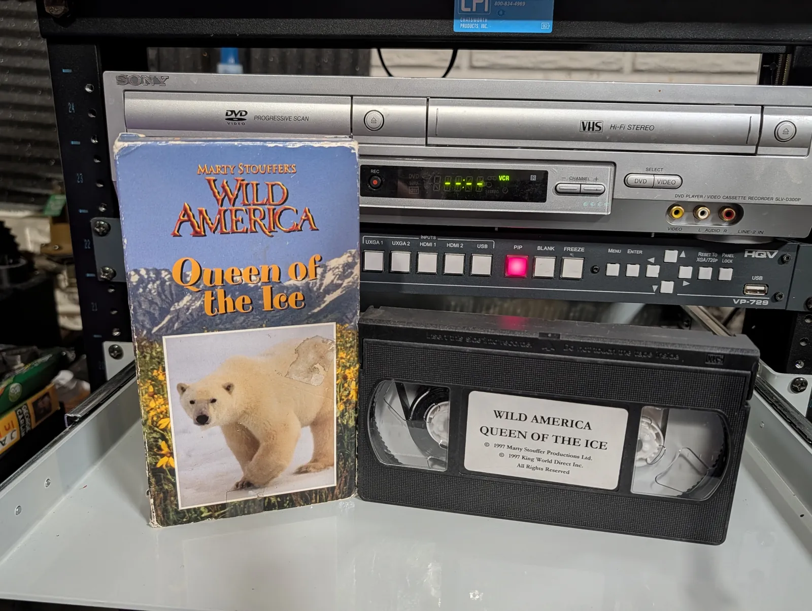 VHS-2026-855: Marty Stouffer's Wild America: Queen of the Ice, physical VHS tape in the 90s Craig archive.