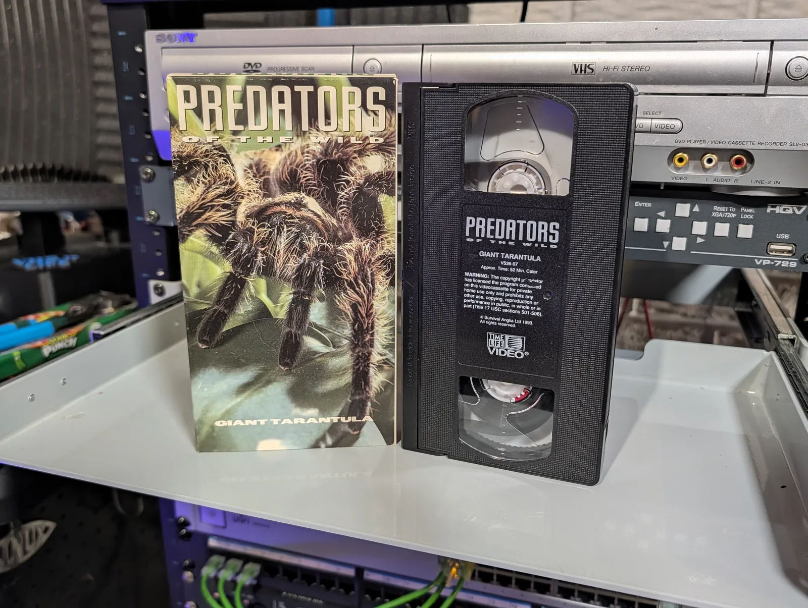 VHS-2026-871: Predators of the Wild: Giant Tarantula (1993), physical VHS tape in the 90s Craig archive.