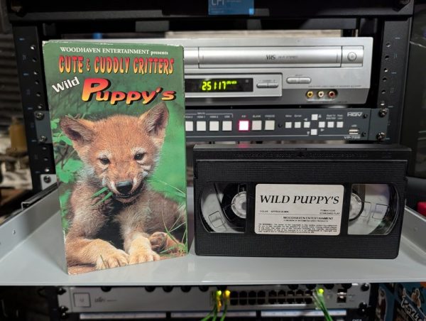 Sleeve labeled Wild Puppy's. Woodhaven Entertainment Cute and Cuddly Critters, 1990s baby animal nature video (VHS-2026-454)