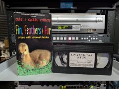 Cute and Cuddly Critters Fin Feathers and Fur - VHS tape, 1990s, Woodhaven Entertainment baby animals