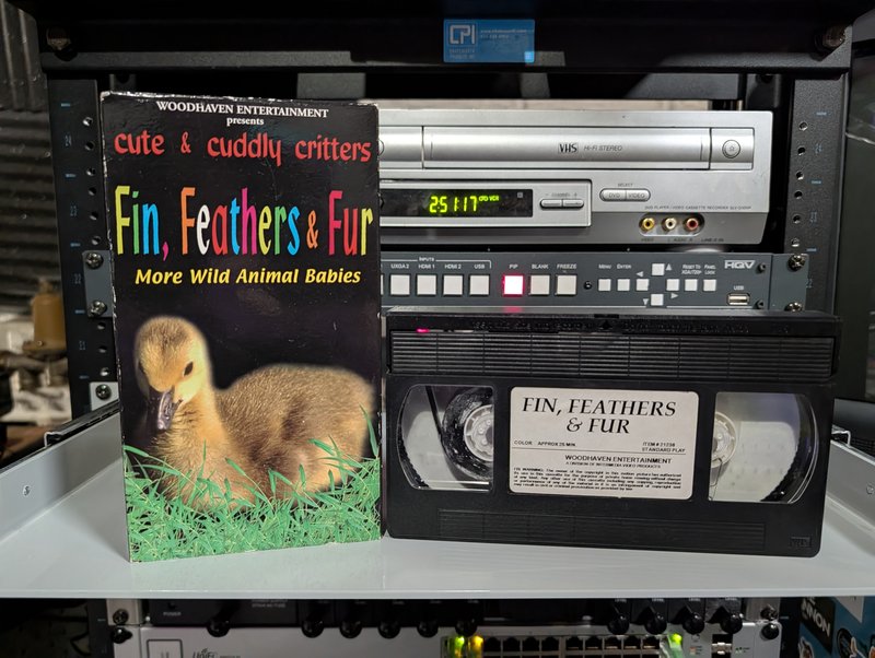 Cute and Cuddly Critters Fin Feathers and Fur - VHS tape, 1990s, Woodhaven Entertainment baby animals