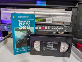 Seasons in the Sea: National Geographic Video: tape photo 1