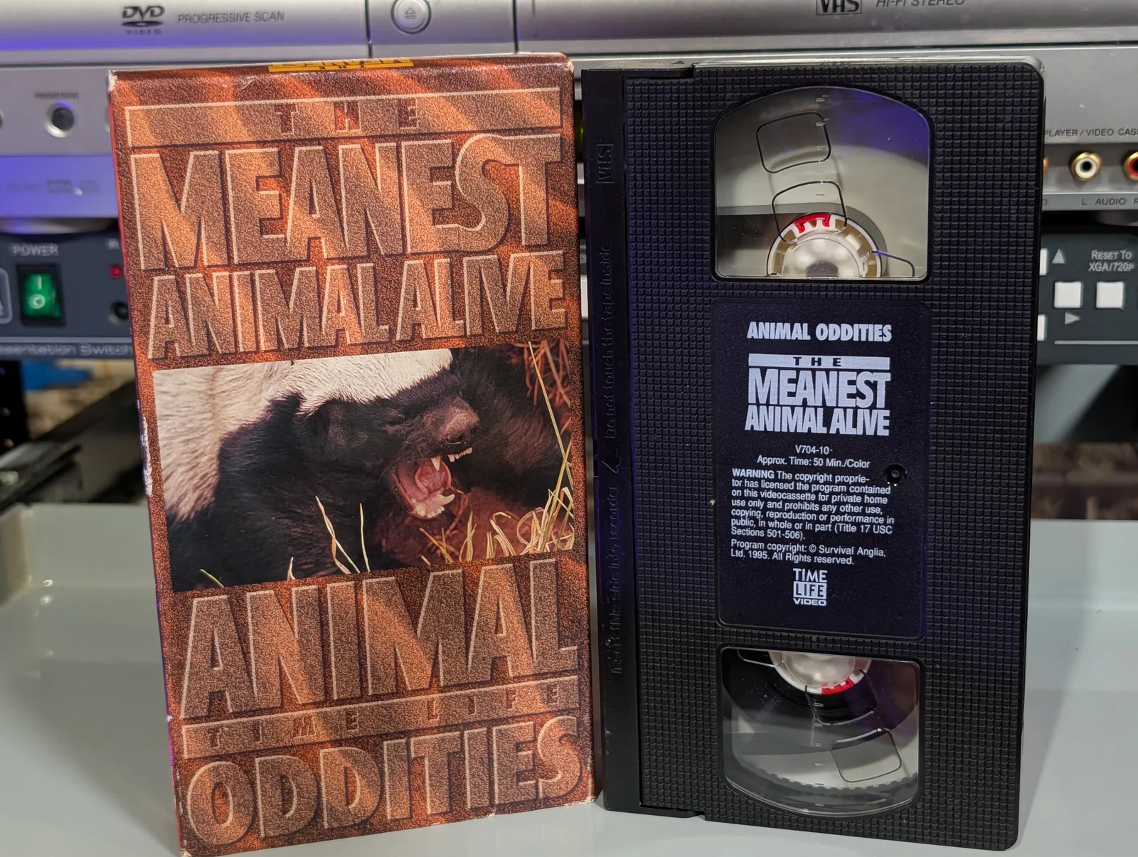 The Meanest Animal Alive (1995): tape photo 1