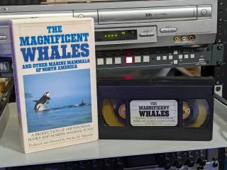 The Magnificent Whales and Other Marine Mammals of North America (1988): tape photo 1