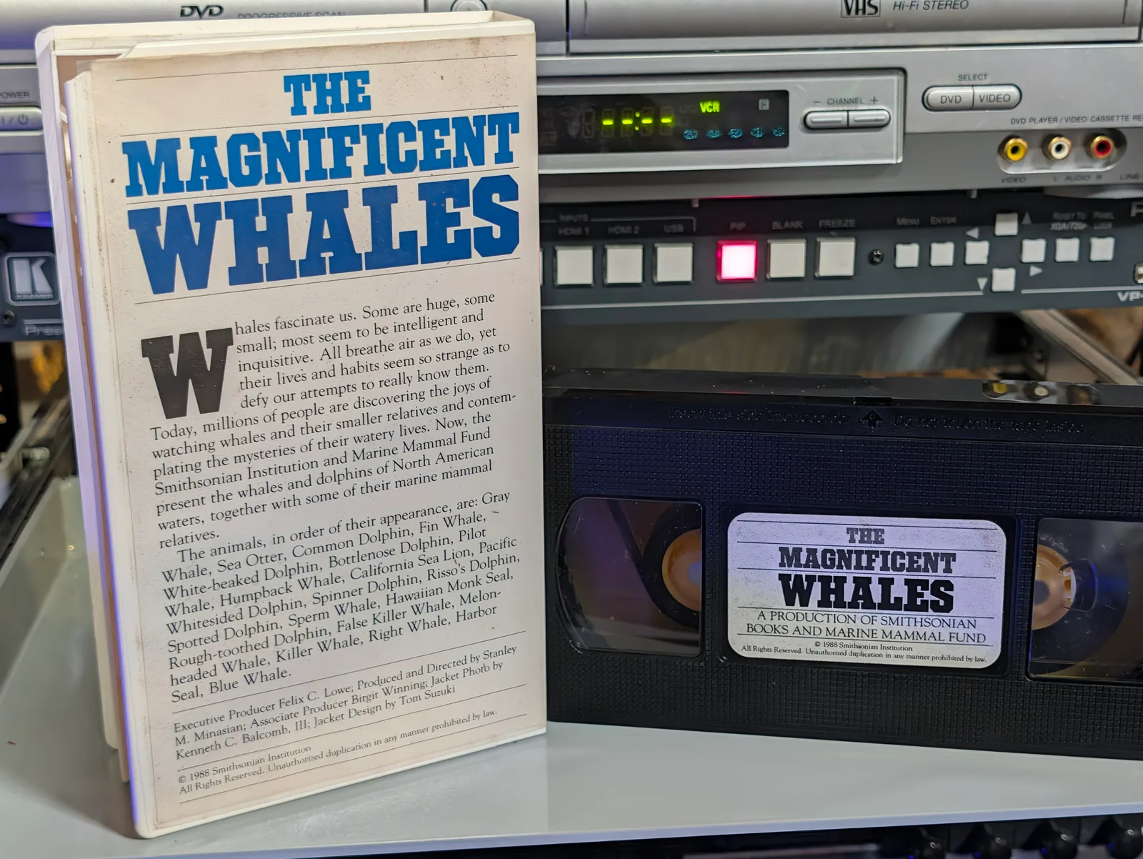 The Magnificent Whales and Other Marine Mammals of North America (1988): tape photo 2