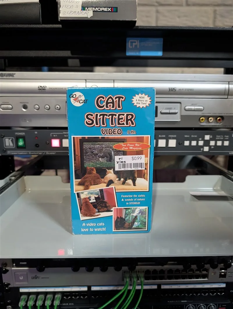 Cat Sitter Video by Go Cat: tape photo 2